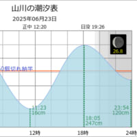 鯵釣り