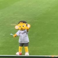 雨の甲子園