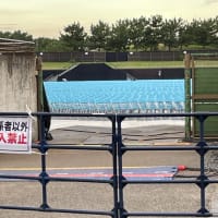 茅ヶ崎、賑わってます