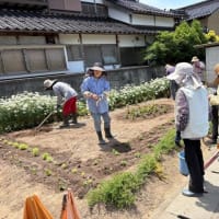 安井さくら会（老人クラブ）の作業の日