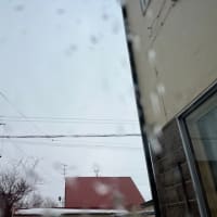 期待はずれ(๑>◡<๑)