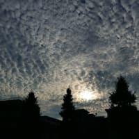法人税を元に戻すだけ