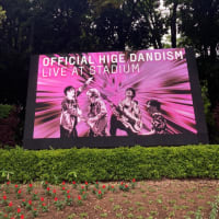 ミラクルな神セトリでしたーー✨