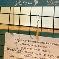 映画「逃げ切れた夢」