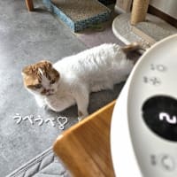 来客
