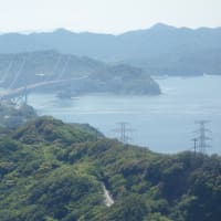 春霞