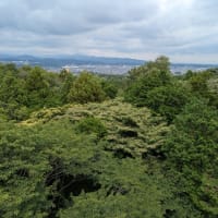 梅雨の合間を縫って加治丘陵へ。