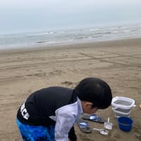 みんなで海へ🏝️