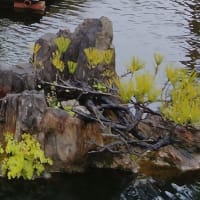 ホテルニューオータニの日本庭園（２）
