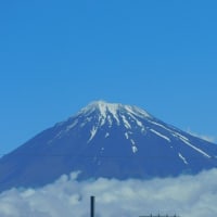 稲田に映る笠雲を被った富士山