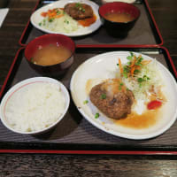 和ビストロ＆カフェ Kapa（カパイ）＠岡山市「和風おろしハンバーグ」