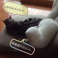今シーズン初！！