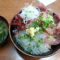 生しらす丼