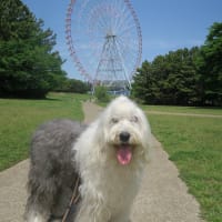もう10年。