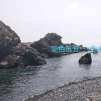 大好きな海