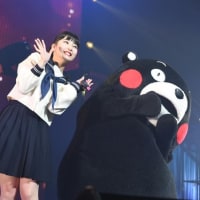 定義集－「歴史」