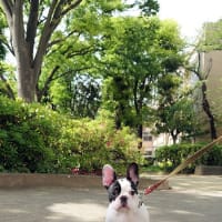 大好きだった公園