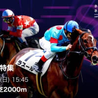 【馬券予想】日曜日メインレースの印！！