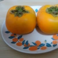 実りの秋