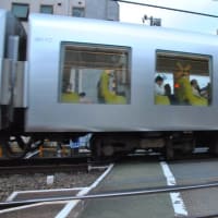 散歩道　　踏切を通る西武池袋線特急電車　　　28