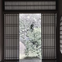 色を落とせば・・・