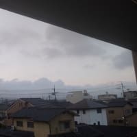 2025年6月4日（水）曇時々晴。