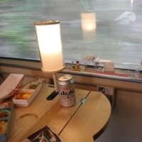 273系やくも～孫たちと一緒に