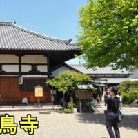 高松塚壁画館のあと飛鳥大仏→橘寺の天井絵