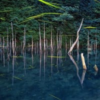 7月1日（火）2日（水）は定休日です。