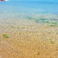 🌊淡路島行って来ました!