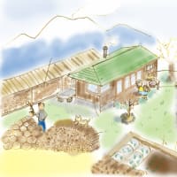 年賀状・・・どうしようかな？