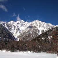 2014/01/18（土）：白鳥が近くで越冬ですよ！。