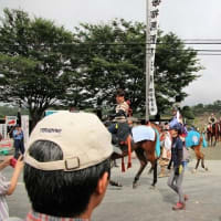 2017年7月29日相馬野馬追