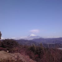 今日は久しぶりに梶原山に行って来ました
