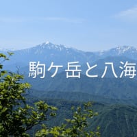 魚沼の権現堂山登山。花の多い山でした。