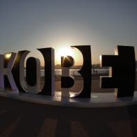 distorted BE KOBE nega #01
