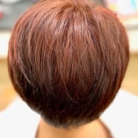 プラセンタカラーの魅力