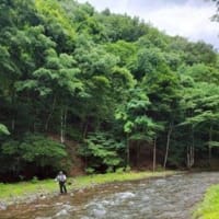 神流川上野村釣行！