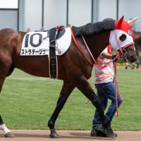 【ストラテージュ】次走は中２週で同条件（ダ1000ｍ）へ
