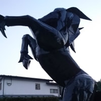 フリージアンホース！