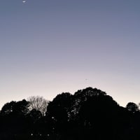 ツール