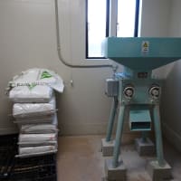 ホップ栽培を手掛ける醸造所　ISHINOMAKI HOP WORKS（その２）