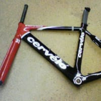 Ｃｅｒｖｅｌｏ試飲会