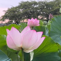 8月6日　火曜日