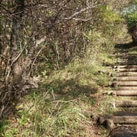 「大平山の登り口④」下見のつもりが‥‥「汗、汗、汗」