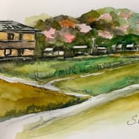 四国旅行の思い出