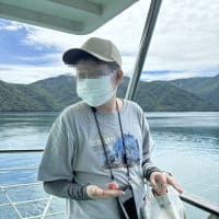 夏の旅行・日光の旅