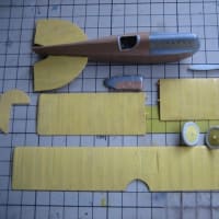 ハンザブランデンブルグD.1　その3