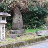 ２０２０年　No.１（3/17）