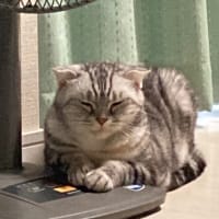 手相占いに行って思ったこと